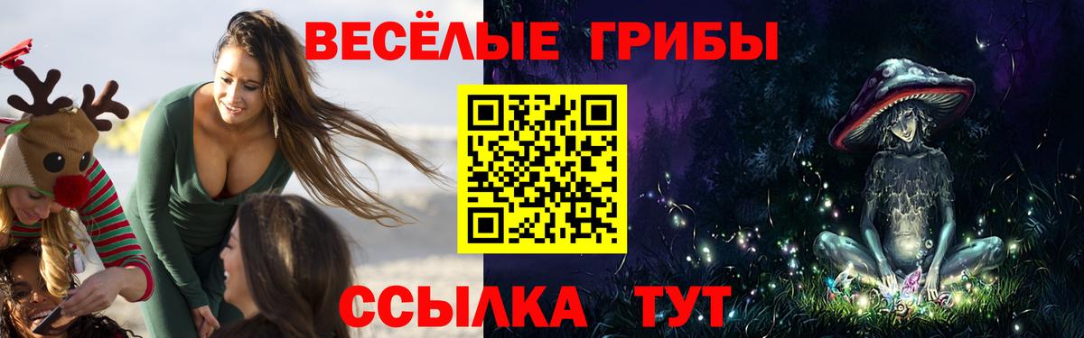 Галлюциногенные грибы Psilocybe  Вход с VPN  Кашира 